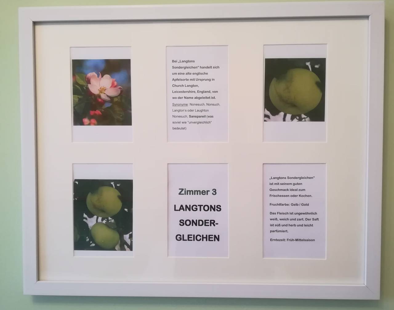 Erlebnishof Huber Langtons Sondergleichen in Hollabrunn