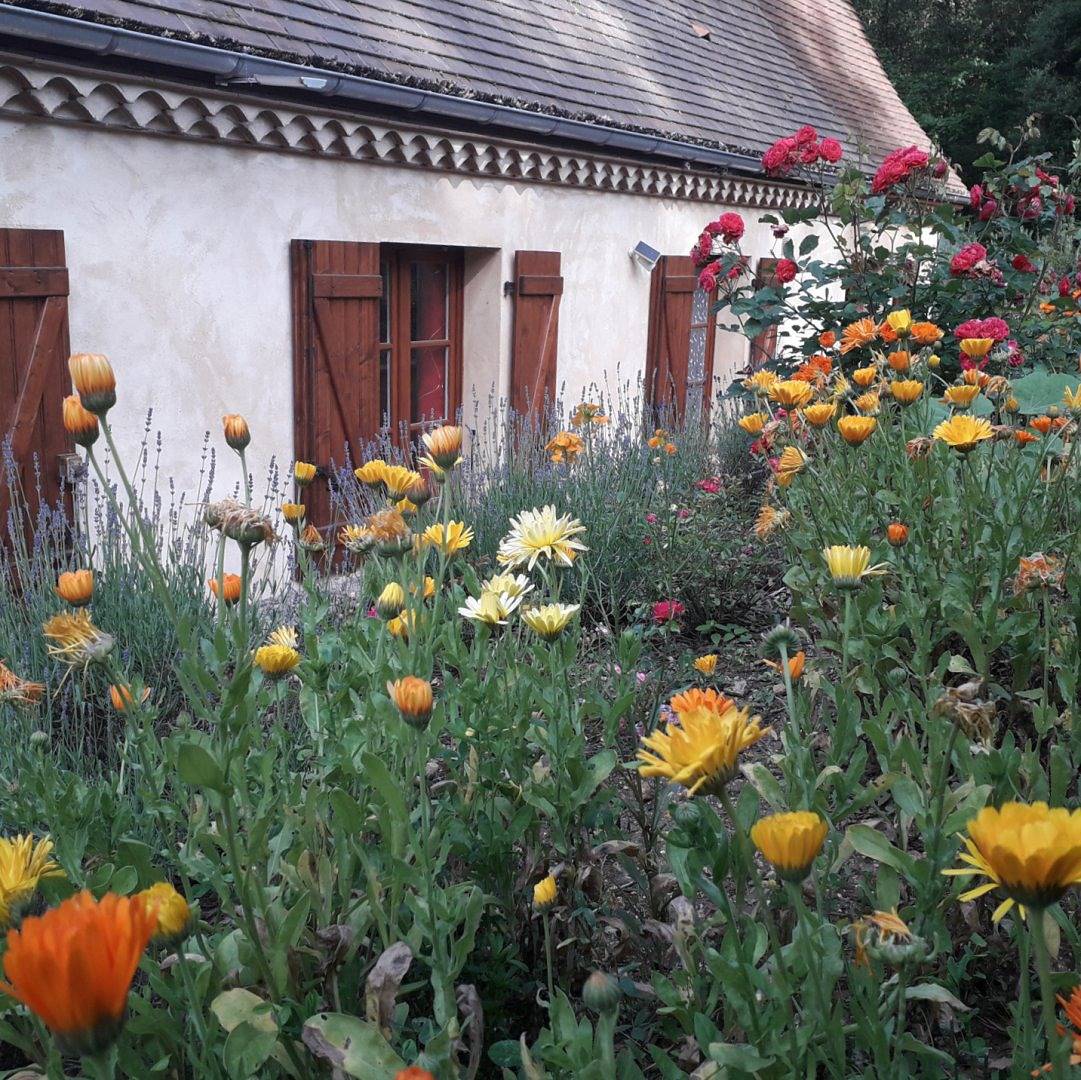 Gîte "L'Orée du Bois" entre Sarlat et la vallée des châteaux in Vézac, Périgord Noir