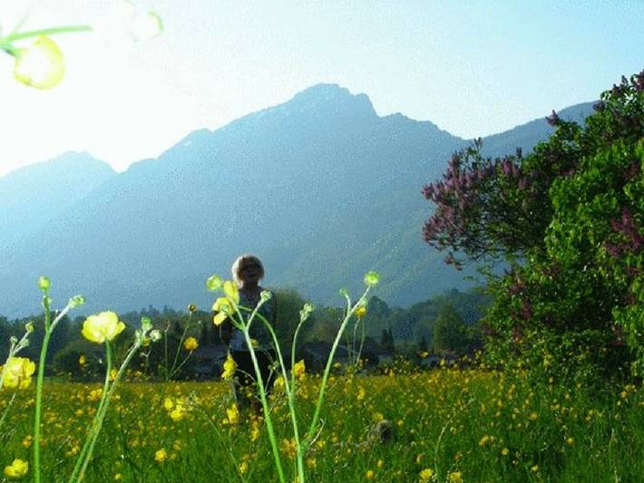 Ferienwohnung für 4 Personen, mit Balkon, kinderfreundlich in Bayerisch Gmain - 4