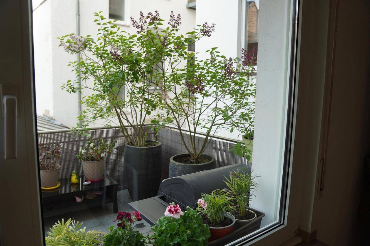 Ganze Wohnung, Bright, spacious apartment with a lovely terrace in the heart of Aachen in Aachen, Rheinland