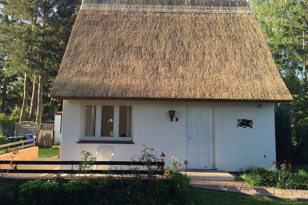 Modernes Reetdach Ferienhaus am Greifswalder Bodden an der Ostsee in Sundhagen, Stralsund Umland