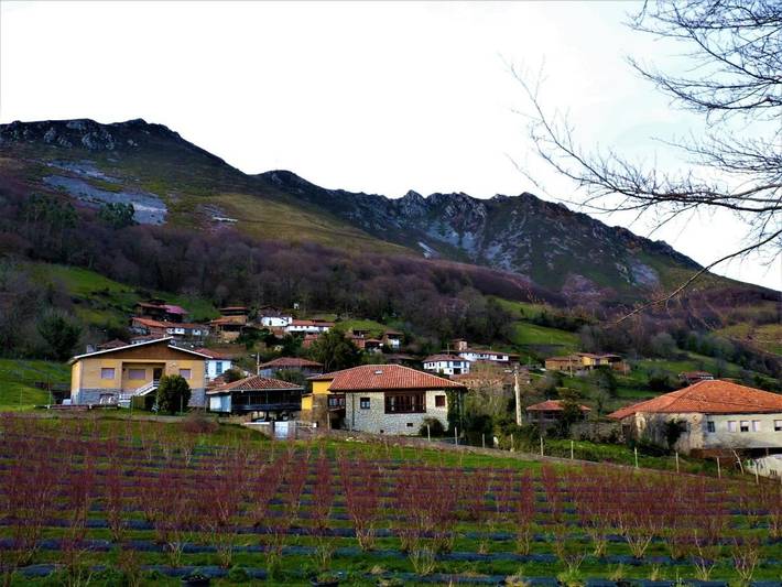 Casa rural para 11 personas, con Balcón y Terraza además de Jardín y Piscina en Belmonte de Miranda