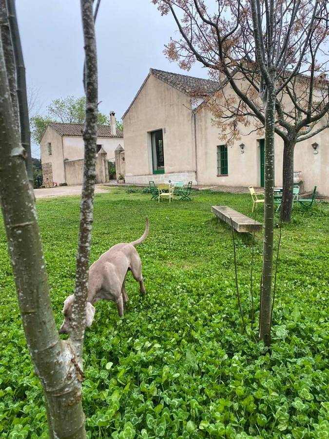 Hotel para 3 personas, con Balcón y Terraza además de Jardín y Piscina en Sierra de Grazalema - 4