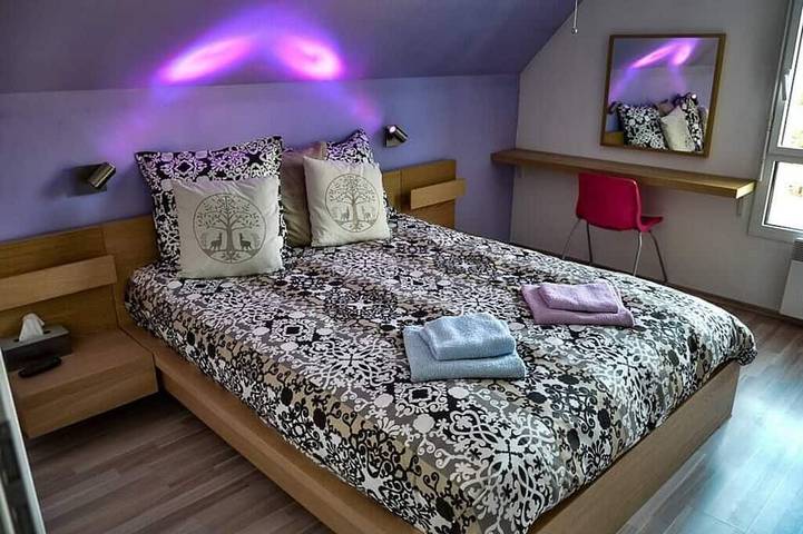 Location de vacances pour 8 personnes, avec jacuzzi et jardin, animaux acceptés à Furdenheim - 2