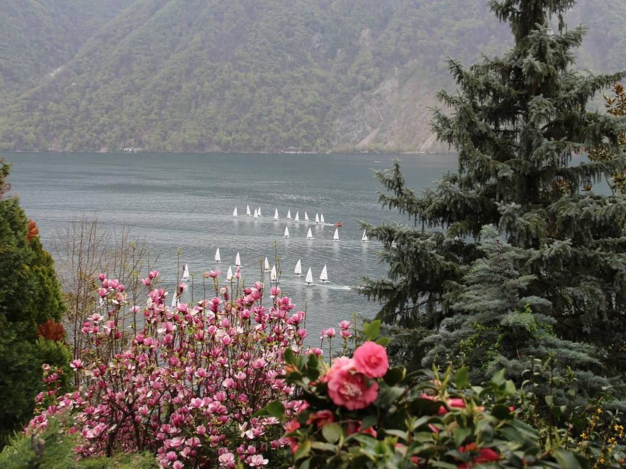Ganze Wohnung, Viola in Lugano, Luganersee
