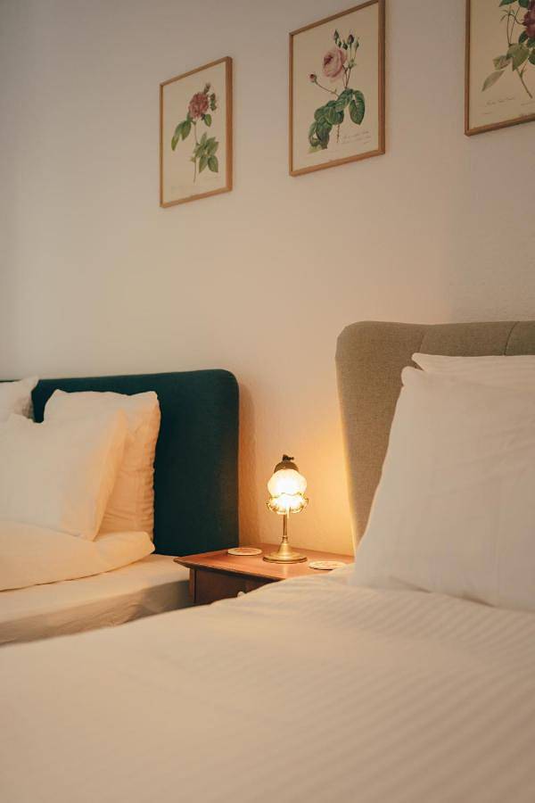 Double Room with Terrace in Chevilly-Larue, Val-de-Marne