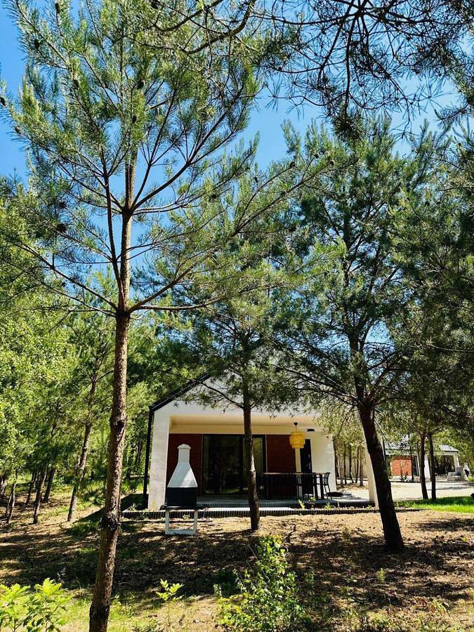 Przystanek Nowa Ruda in Wielkopolska