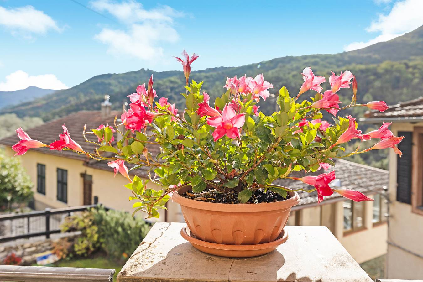 Ganze Wohnung, Ferienwohnung "Le Peonie - Clotilde" mit Bergblick, Garten und Wlan in Casanova Lerrone, Riviera di Ponente