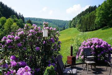 Bauernhof für 30 Personen in Winterberg, Hochsauerlandkreis, Bild 3