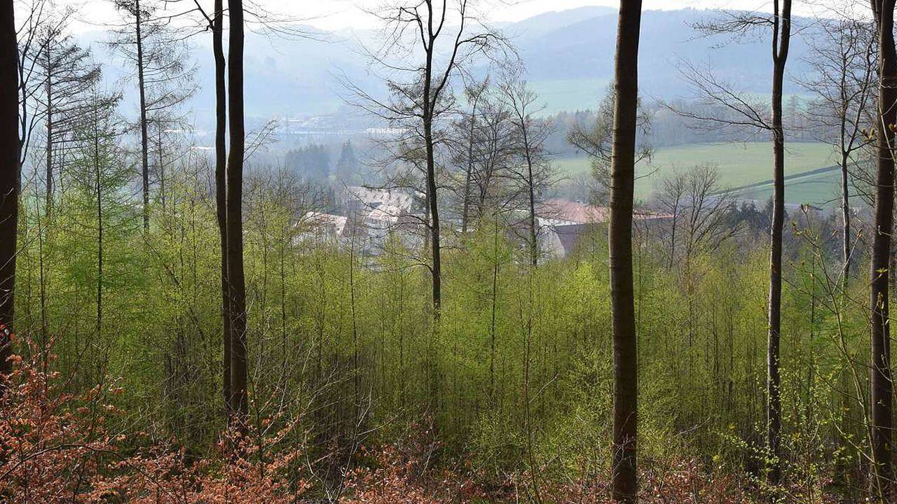 Ganze Ferienwohnung, Ferienwohnung für 2 Personen (37 m²) in Balve in Balve, Sorpesee