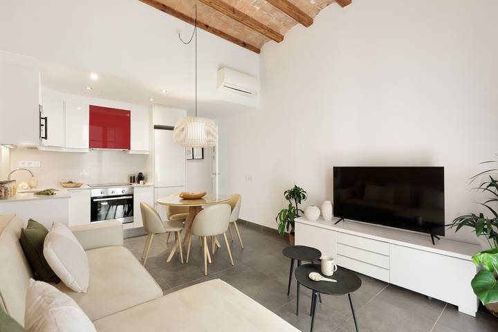Ganze Wohnung, Ola Living Macba 5 in Barcelona Zentrum, Barcelona