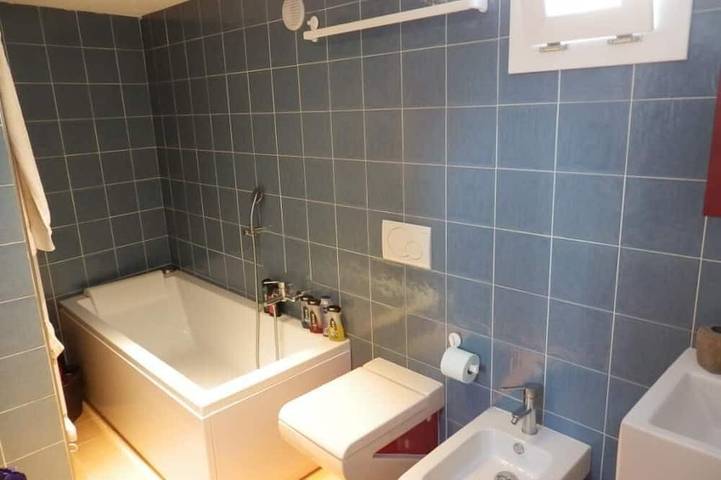 Ganze Wohnung, Luxeriöses Apartment mit privat Strand direkt am Lago Maggiore in Gambarogno, Lago Maggiore (Schweiz)