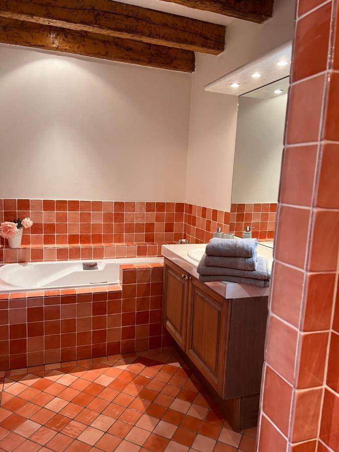Double Room in Savignac-sur-Leyze, Région de Villeneuve-sur-Lot