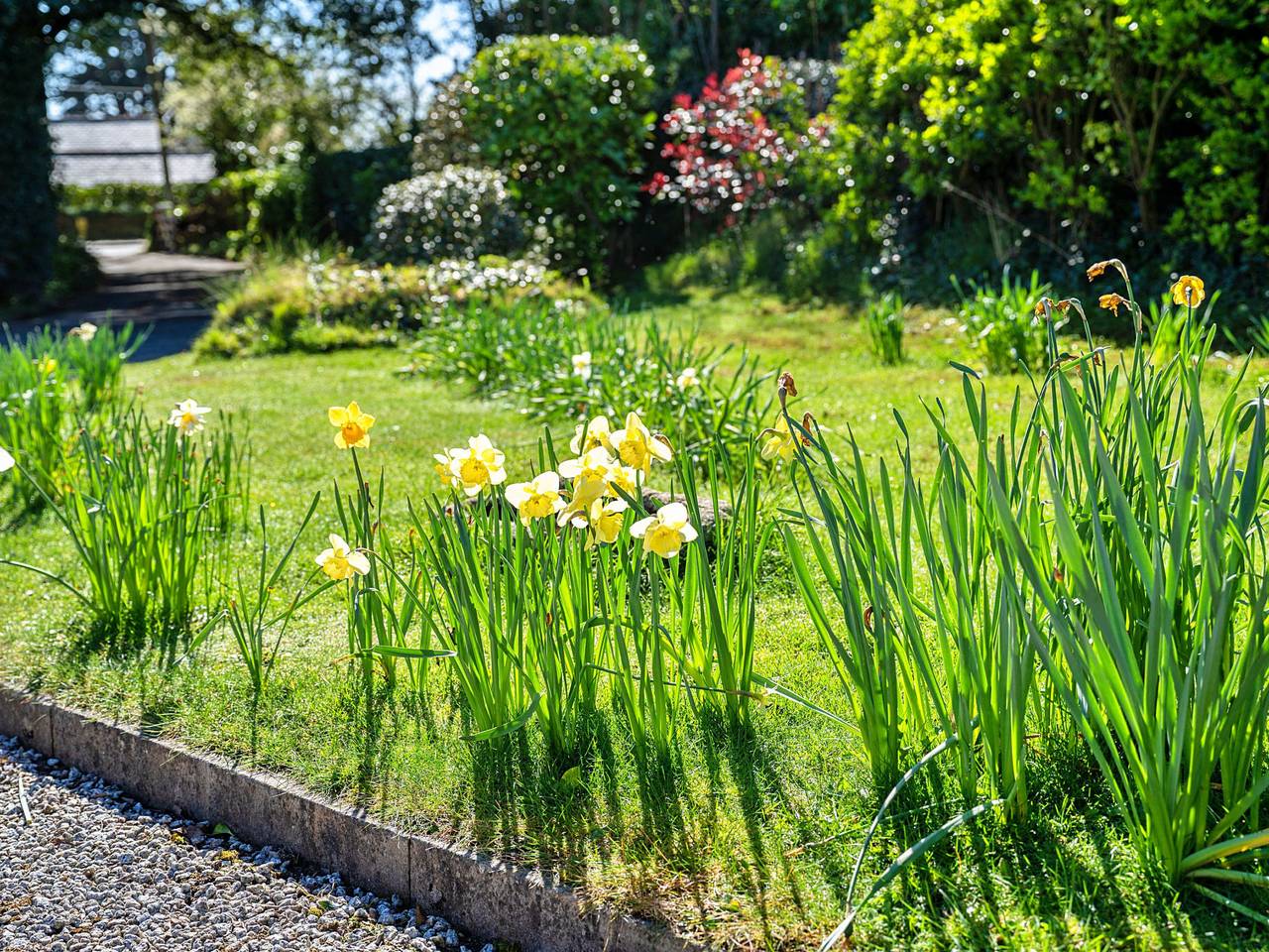 Sunny Nook in Rock, St Minver Lowlands