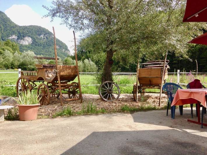 Gîte pour 4 personnes, avec jardin ainsi que vue et piscine à Brienzwiler - 4
