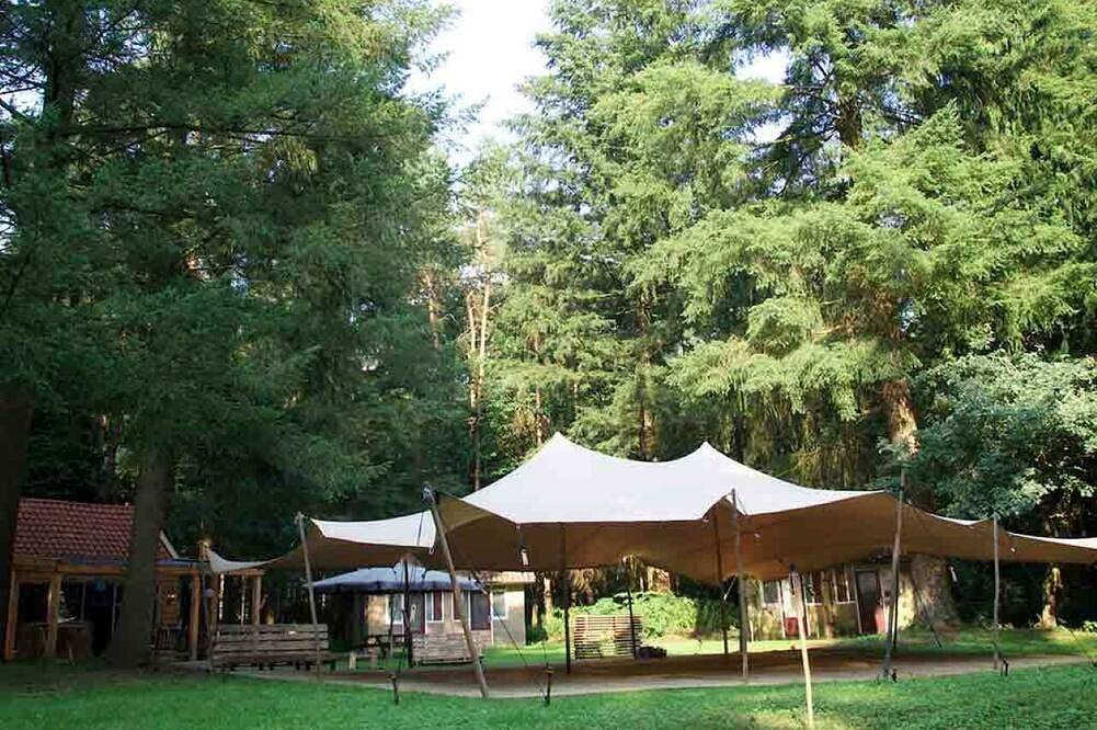 Charming Room in the Woods – Ideal for Couples' Getaway in Putten, Veluwe