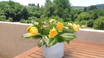 Ferienwohnung für 6 Personen in Saarbrücken