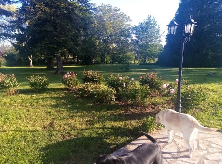 Chambre d’hôte pour 5 personnes, avec jardin dans le Loir-et-Cher - 2
