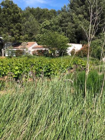 Cottage pour 9 personnes, avec vue ainsi que piscine et terrasse à Rousset