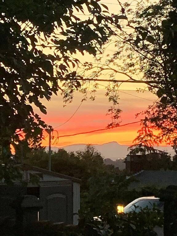 Private 2 bedrooms Fruits Garden Suite with Air-Conditioner in Burnaby, British-Columbia