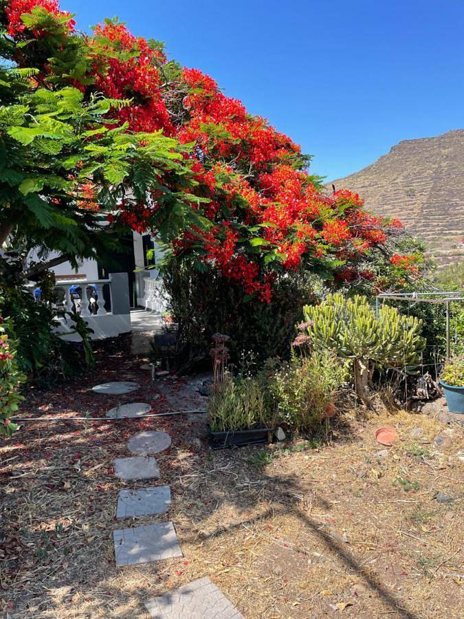 Casa rural para 3 personas, con vistas y jardín en Santa Cruz de Tenerife - 3
