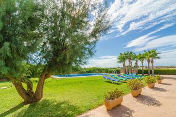 Villa für 10 Personen in Sa Ràpita, Campos, Bild 4