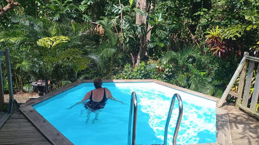 Location de vacances pour 6 personnes, avec vue ainsi que jardin et piscine à Rivière-Pilote - 4