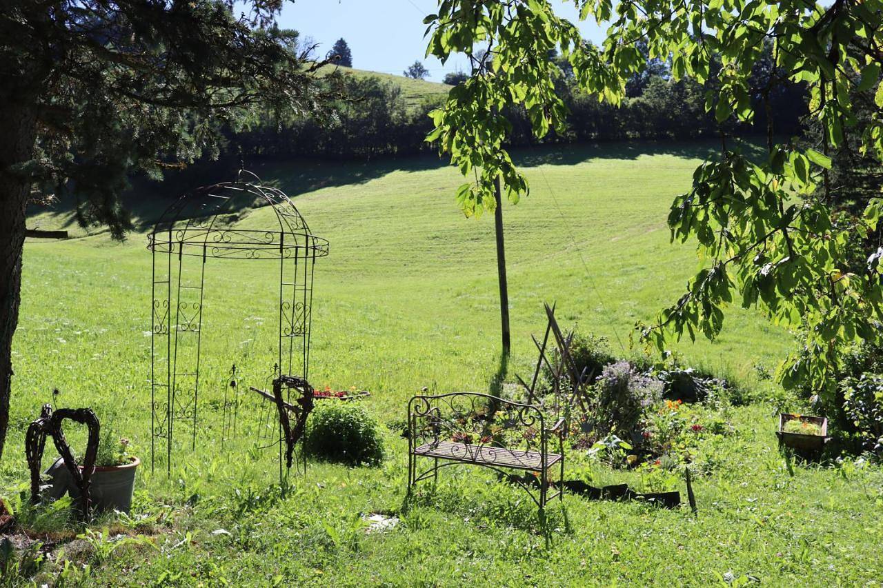 Double Room with Mountain View in La Tine, Rossinière