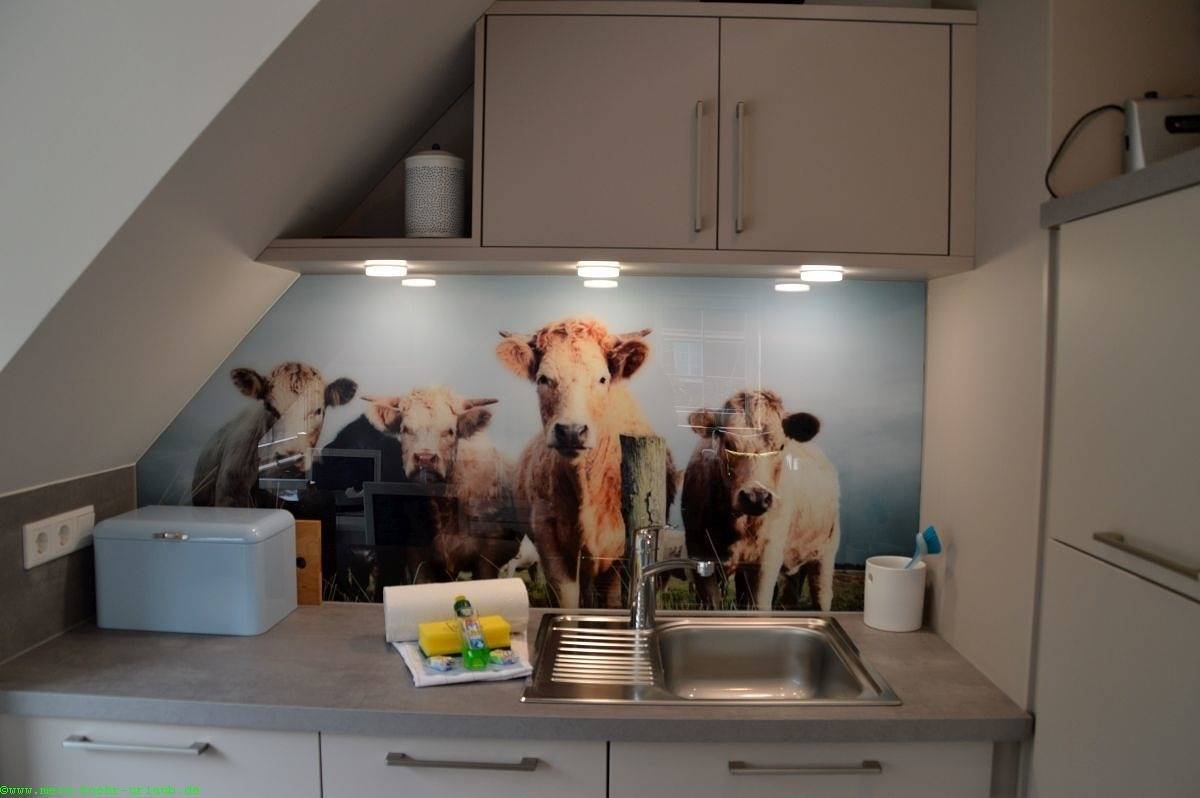 Ganze Ferienwohnung, Am Maisfeld Wohnung in Wyk auf Föhr (Stadt), Wyk auf Föhr