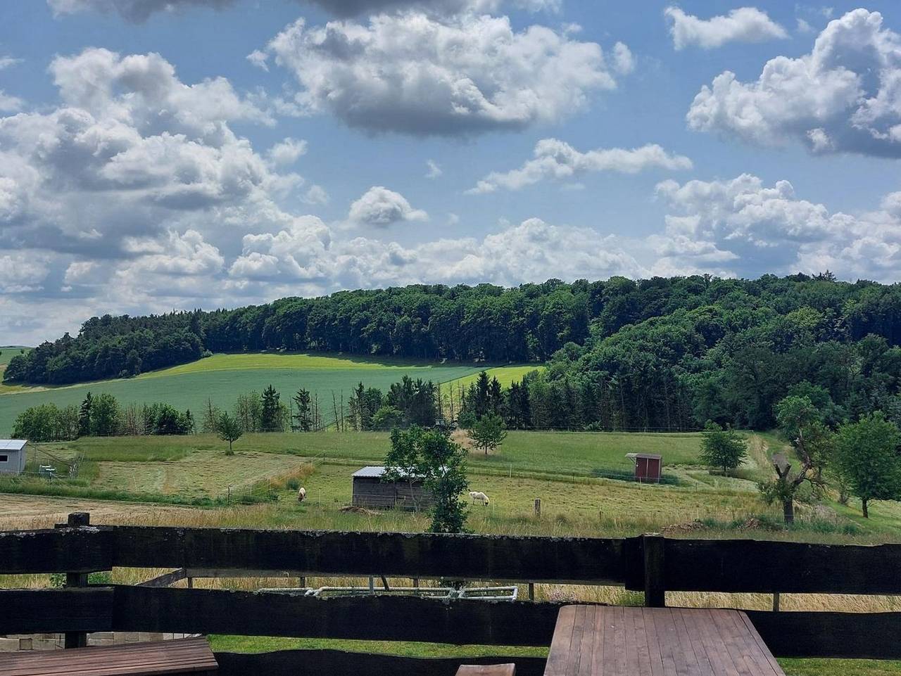 Ganze Ferienwohnung, Mühlbachhof - Ferienwohnung Mühlbachhof in Lahn-Taunus