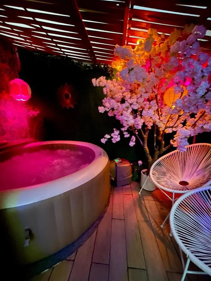 Ferienhaus für 12 Personen, mit Pool und Whirlpool sowie Garten - 1