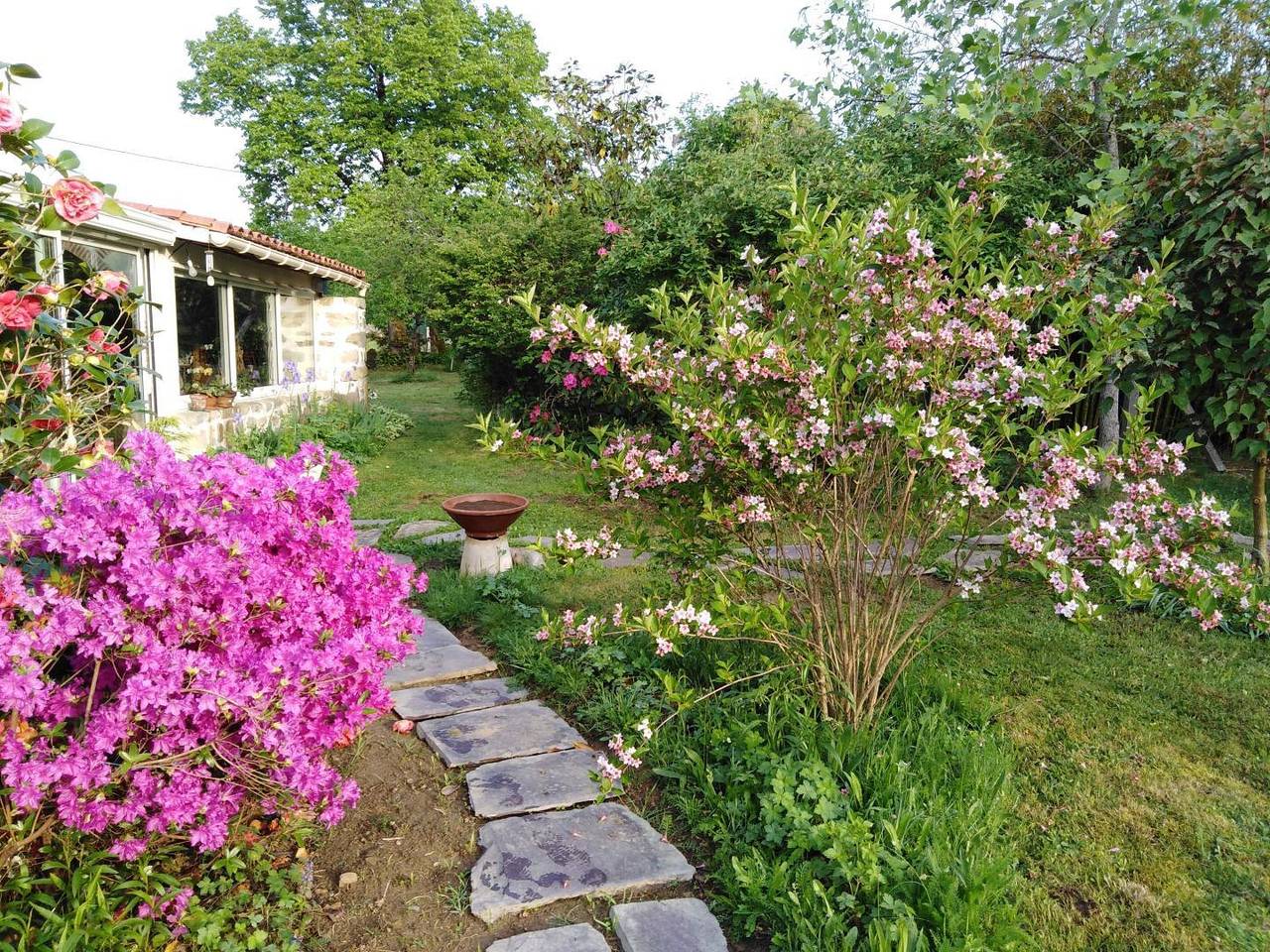 La maison des Couleurs in Saint-Brice-sur-Vienne, Région de Rochechouart