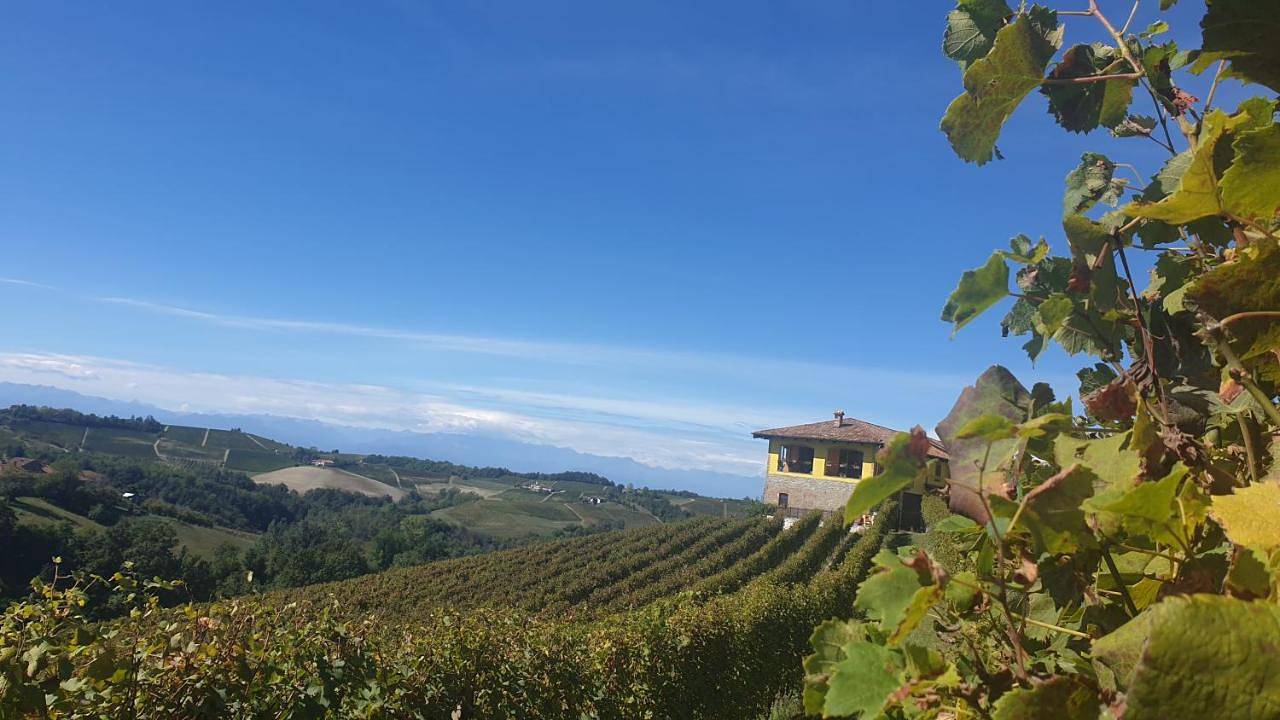 Ganze Wohnung, Casa Vacanza Dany House in Dogliani, Langhe