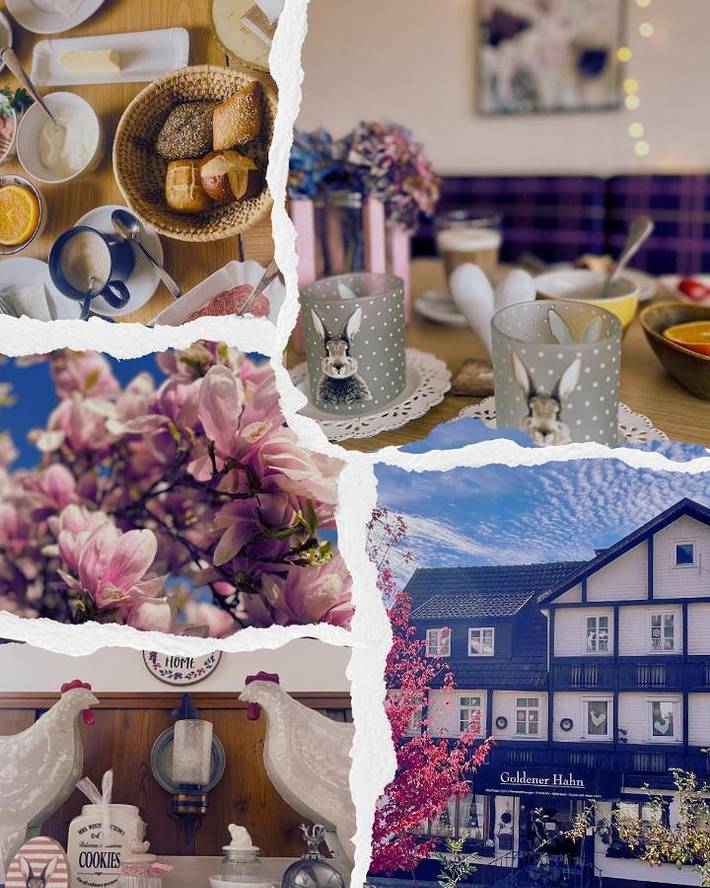 Chambre d’hôte pour 3 personnes, avec piscine à Baiersbronn