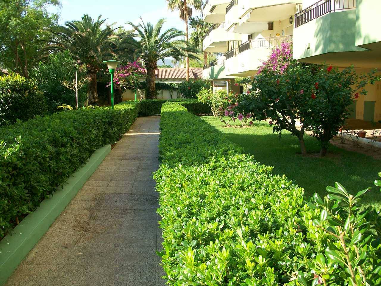 Apartamento entero, Gardenias Iii - 9º  - A in Playa de Gandía, Costa de Valencia