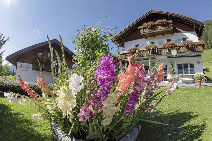 Ferienwohnung für 2 Personen, mit Balkon und Terrasse sowie Garten in den Allgäuer Alpen - 2