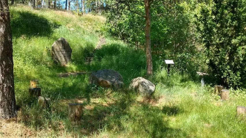 Ferienhaus für 5 Personen, mit Terrasse in Silkeborg - 3