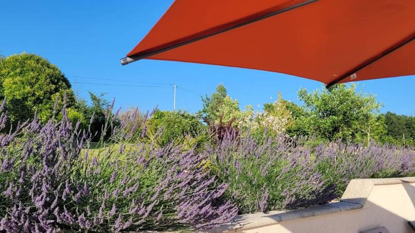 Gîte pour 3 personnes, avec vue ainsi que piscine et jardin, animaux acceptés à Salles (Lot-et-Garonne) - 2