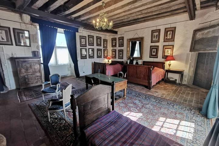 Château pour 19 personnes, avec jardin dans le Loir-et-Cher - 2