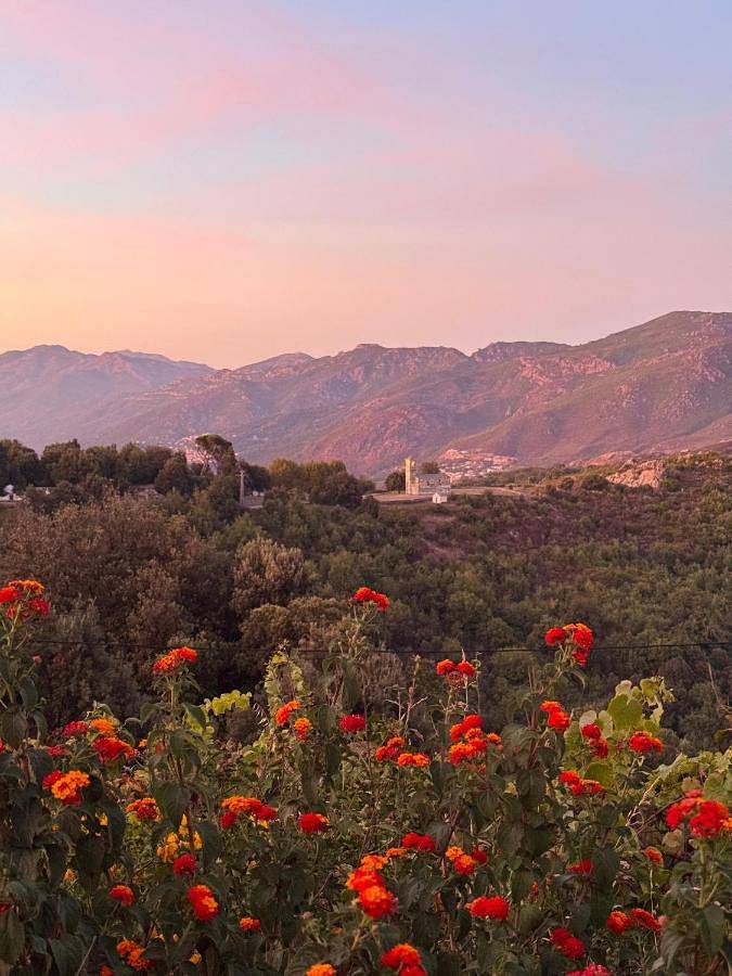 Location de vacances pour 3 personnes, avec vue et jardin, animaux acceptés à Murato - 2