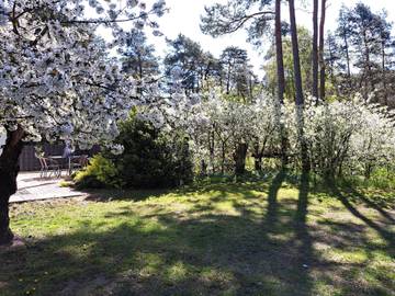Bungalow für 2 Personen in Altwarp, Vorpommern, Bild 4