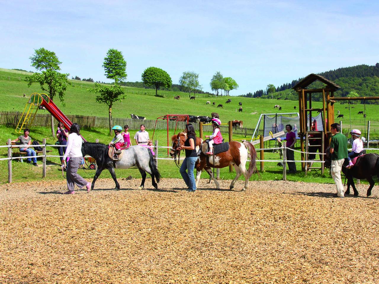 Ferienhof Belke-Spork - Schwalbe in Schmallenberg, Hochsauerlandkreis