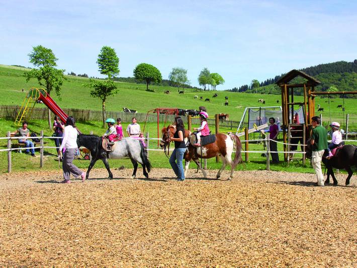 Ferienhaus für 5 Personen, mit Balkon und Balkon/Terrasse, kinderfreundlich in Schmallenberg - 2