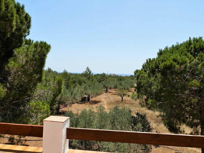 Casa rural para 8 personas, con terraza además de jardín y vistas, Se admiten mascotas en La Ametlla de Mar - 4