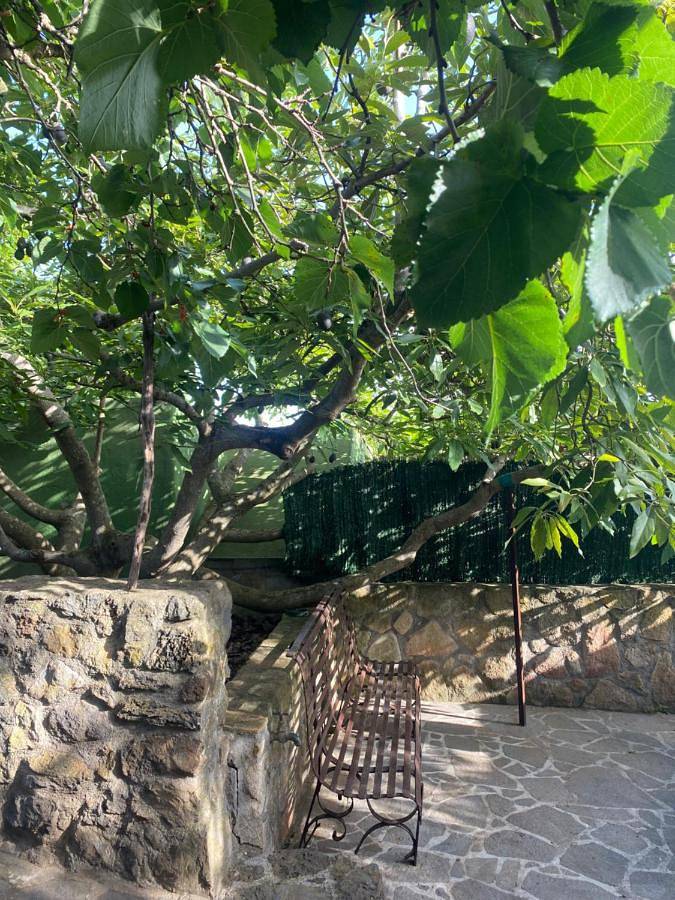 Casa rural para 3 personas, con jardín y vistas en Tacoronte - 2