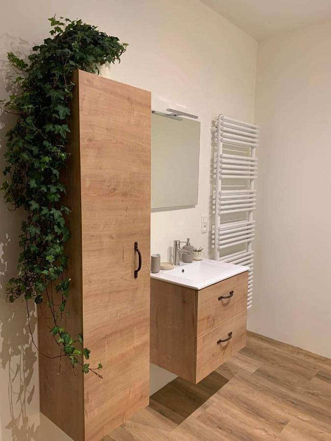 Gîte pour 6 personnes, avec terrasse et jacuzzi à Gembloux - 4