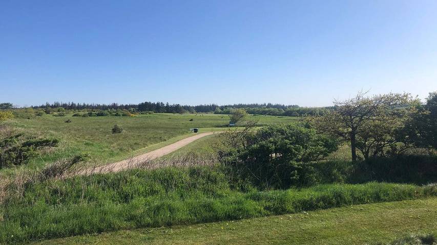 Ferienhaus für 7 Personen, mit Sauna und Terrasse in Henne Strand - 4