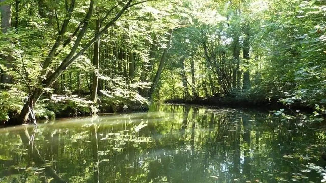 Ganze Ferienwohnung, Ferienwohnung für 4 Personen (51 m²) in Märkisch Buchholz, Dahme-Seengebiet
