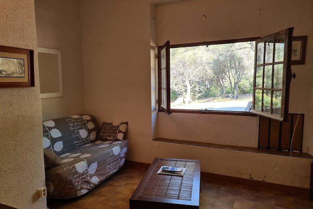 Provencal cottage surrounded by olive trees for lovers of calm and nature. in Ceyreste, Marseille region