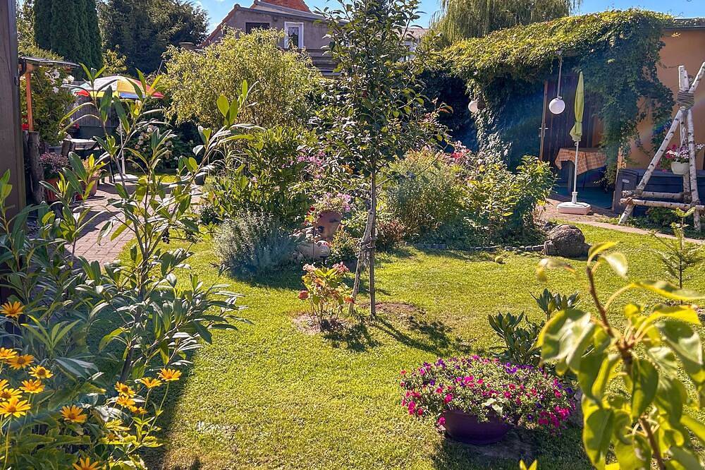 Ganze Wohnung, Zur gemütlichen Weinlaube - Bungalow in Ribnitz, Ribnitz-Damgarten
